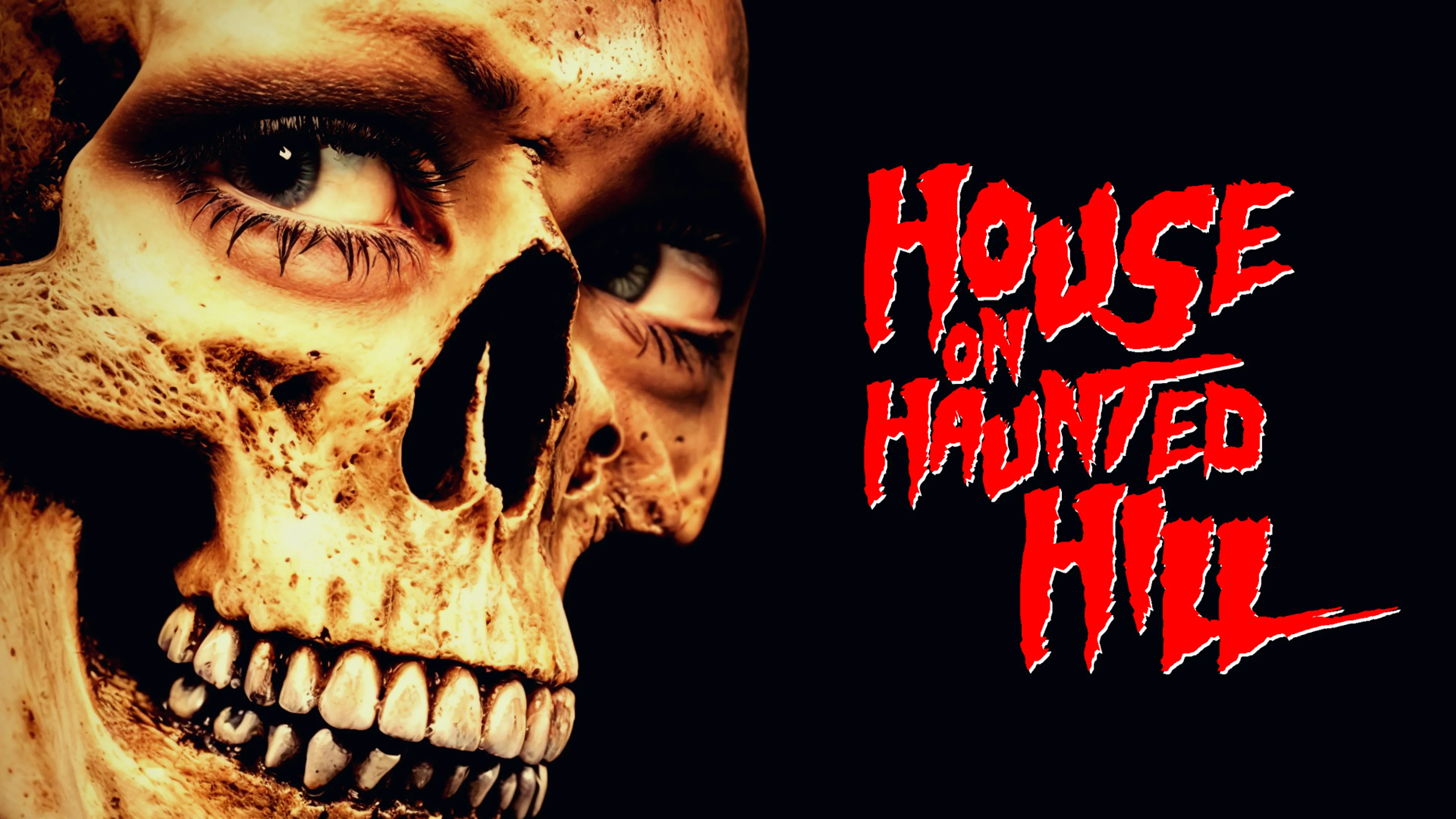 House On Haunted Hill poster